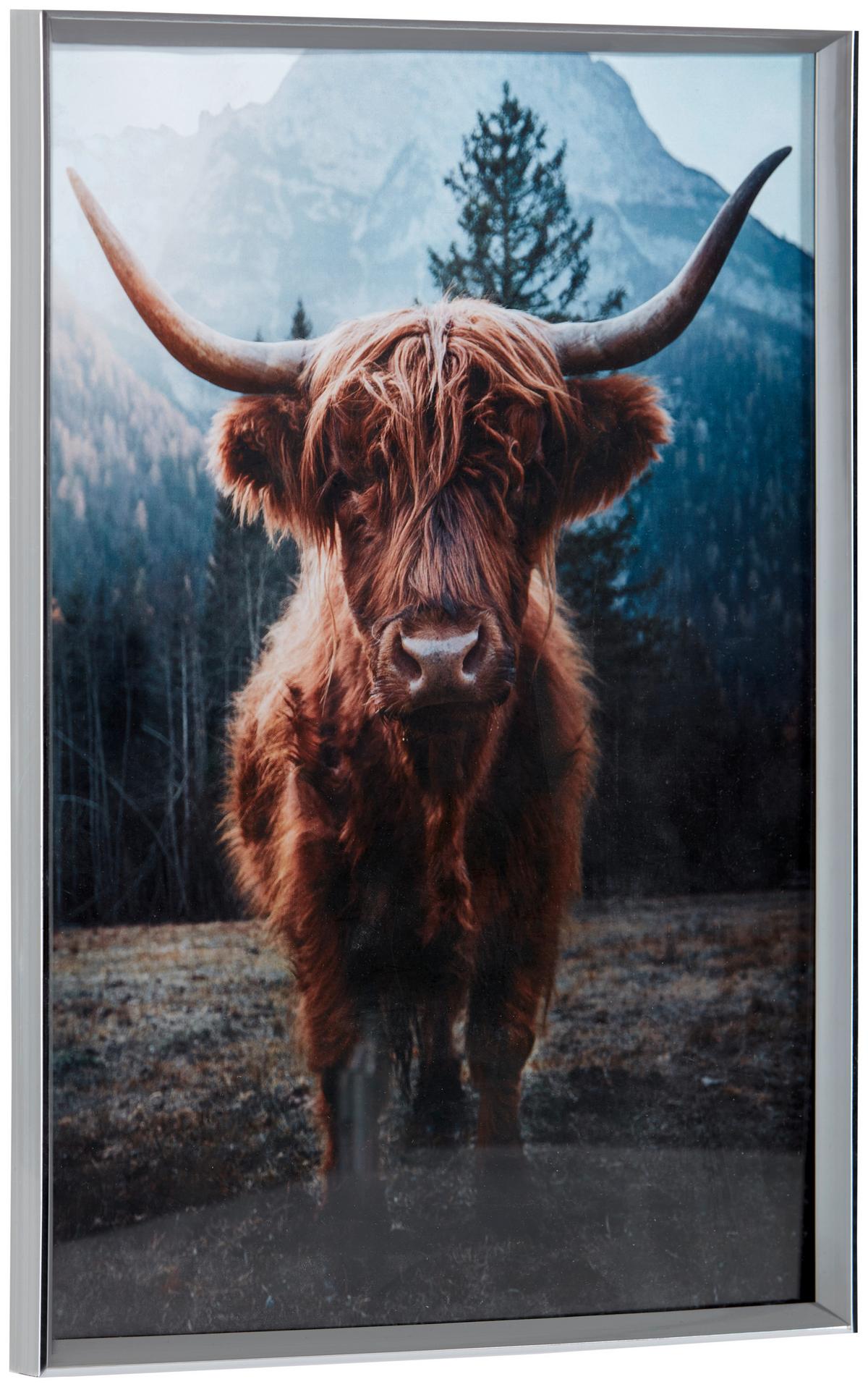 Bilderrahmen 30x40 cm Cameo Kunststoff Grau. 30,7x40,7 cm - Hellgrau, Basics, Glas/Holz (30,7/40,7/1,8cm) - Luca Bessoni