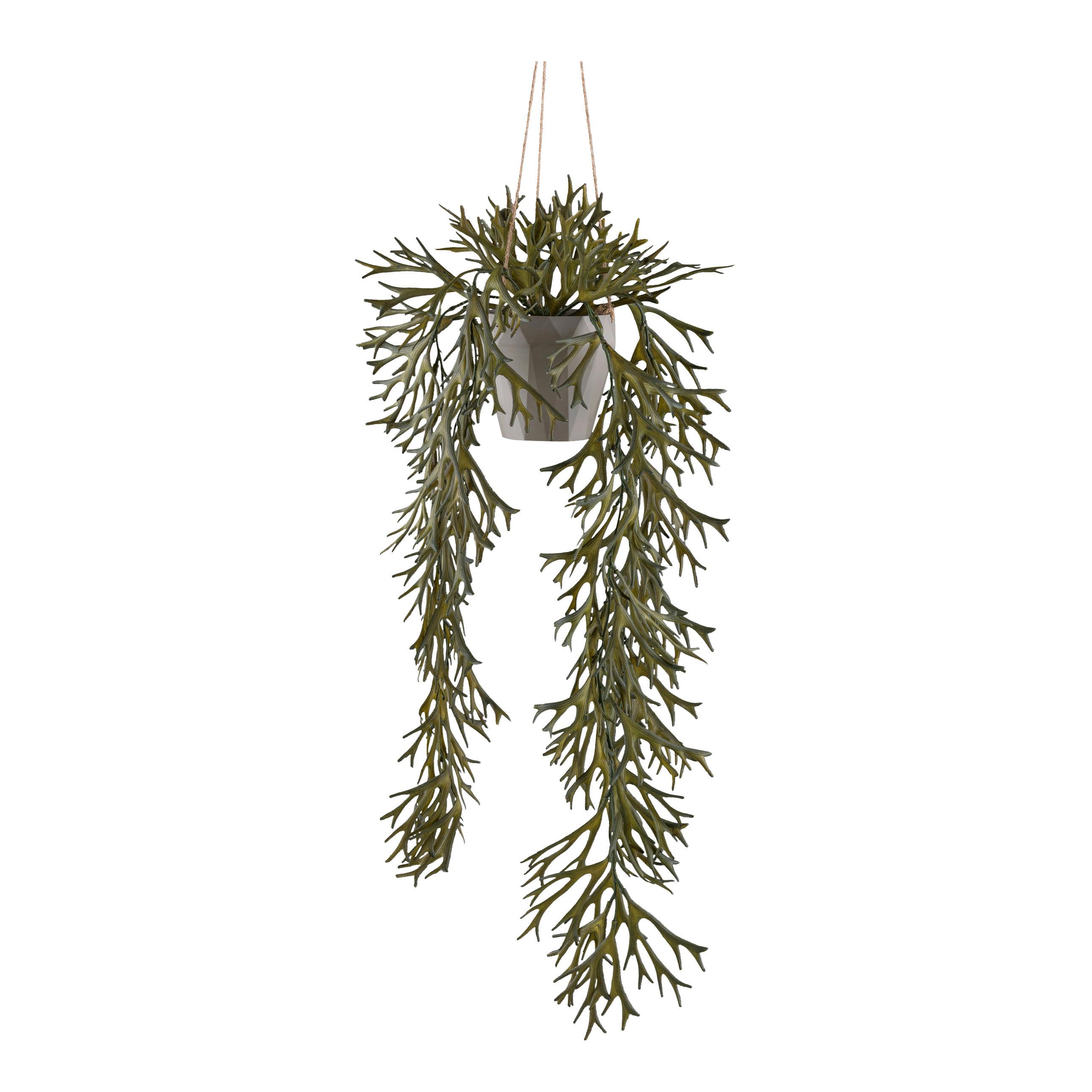 Kunstpflanze Hängepflanzen Olivgrün, 70 cm - Olivgrün, Design, Kunststoff (70cm) - P & B