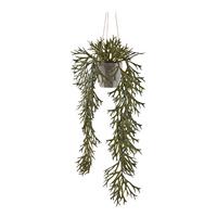Kunstpflanze Hängepflanzen Olivgrün, 70 cm - Olivgrün, Design, Kunststoff (70cm) - P & B