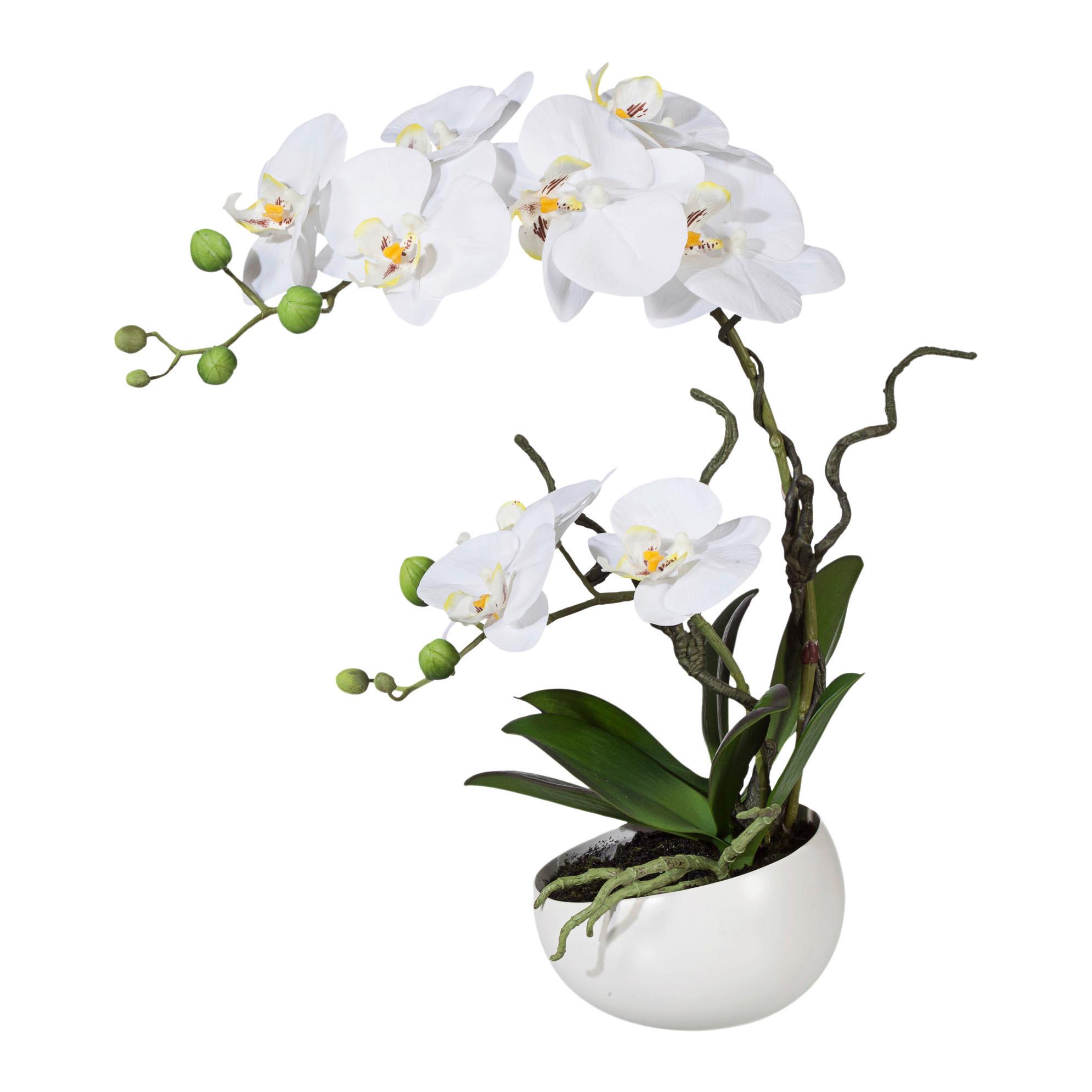 Kunstpflanze Orchideen Weiß, Topf: Weiß, H: 42 cm - Weiß/Grün, Design, Keramik/Kunststoff (42cm) - P & B