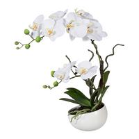 Kunstpflanze Orchideen Weiß, Topf: Weiß, H: 42 cm - Weiß/Grün, Design, Keramik/Kunststoff (42cm) - P & B