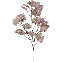 DEKORAČNÍ VĚTVIČKA GINKOZWEIG I -PAZ- - hnědá, Konvenční, plast (62cm) - Modern Living