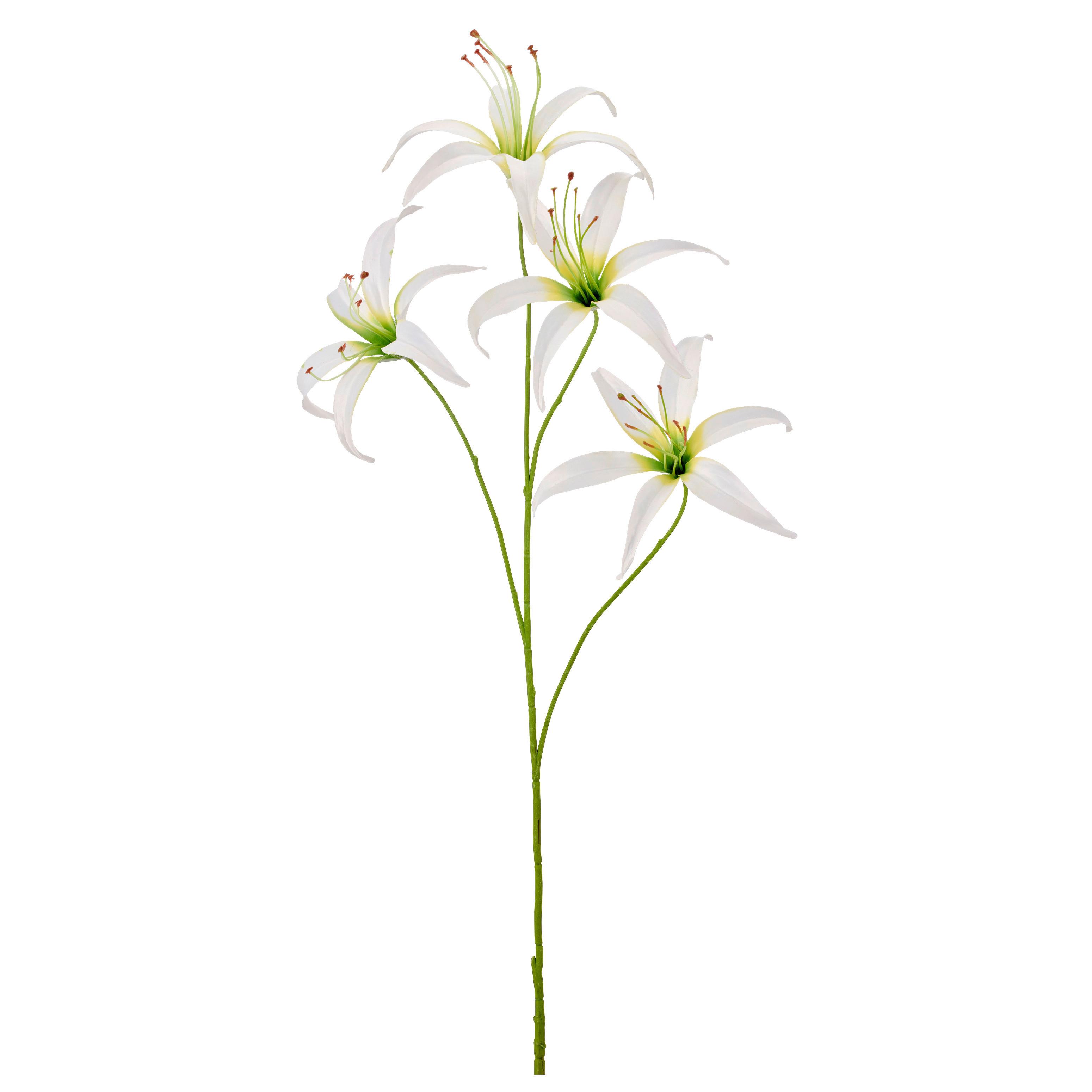 Ľalia LILIE I -PAZ- - biela/zelená, Basics, kov/textil (100cm) - Mömax