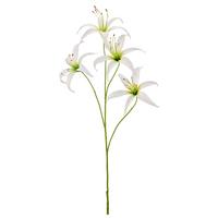 Ľalia LILIE I -PAZ- - biela/zelená, Basics, kov/textil (100cm) - Mömax