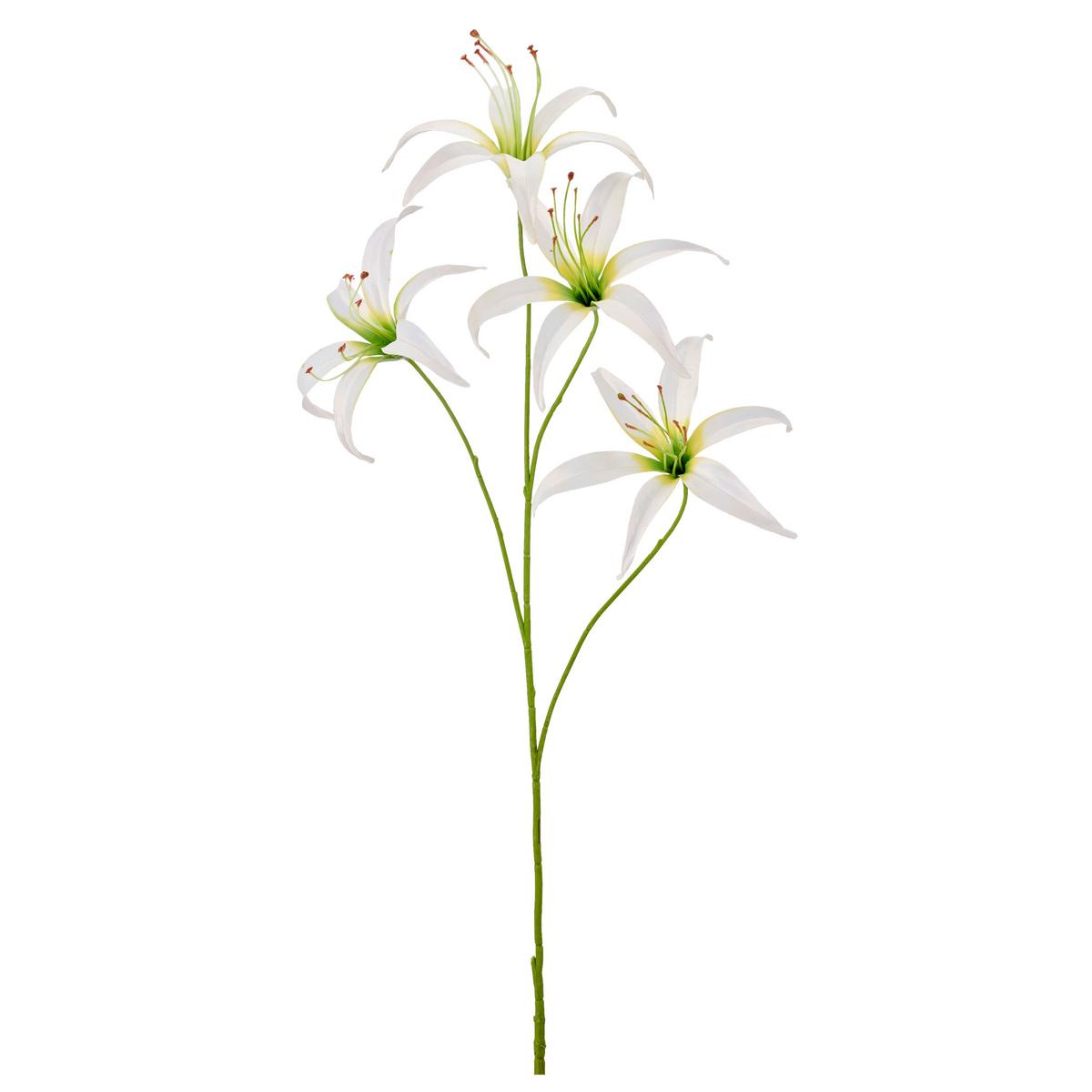 Ľalia LILIE I -PAZ- - biela/zelená, Basics, kov/textil (100cm) - Mömax