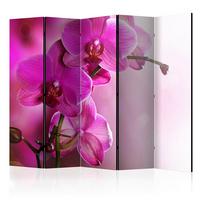 PARAVENT Beere Magenta B: 225 cm - Beere/Magenta, Basics, Holz/Textil (225/172/3cm) - artgeist