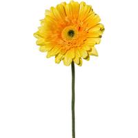 Kunstblume Gerbera L: Ca. 63cm, Amra - Gelb/Grün, Natur, Kunststoff (63cm)