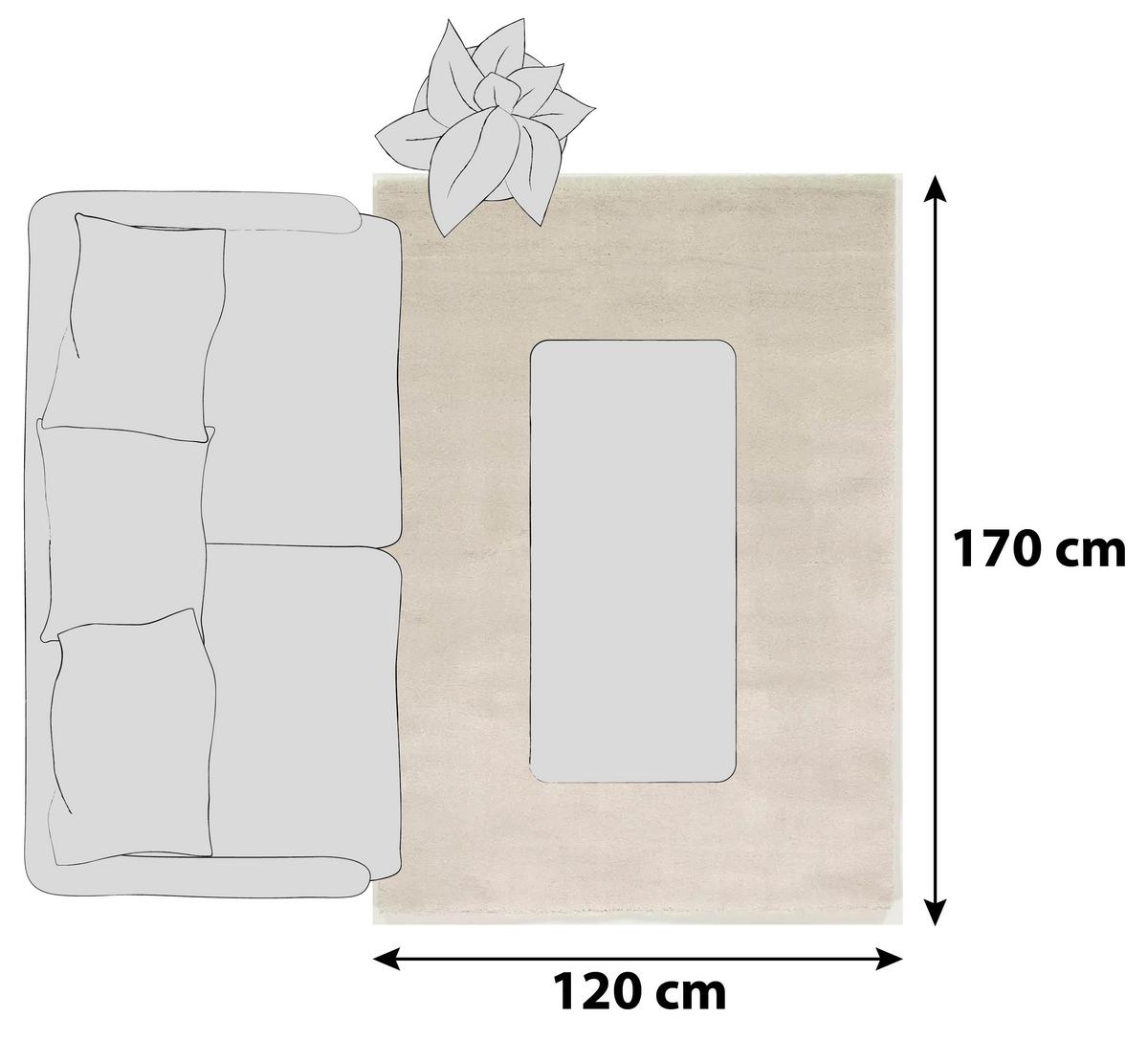 Hochflorteppich Bellevue Creme 120x170 cm - Creme, Basics, Textil (120/170cm) - Novel