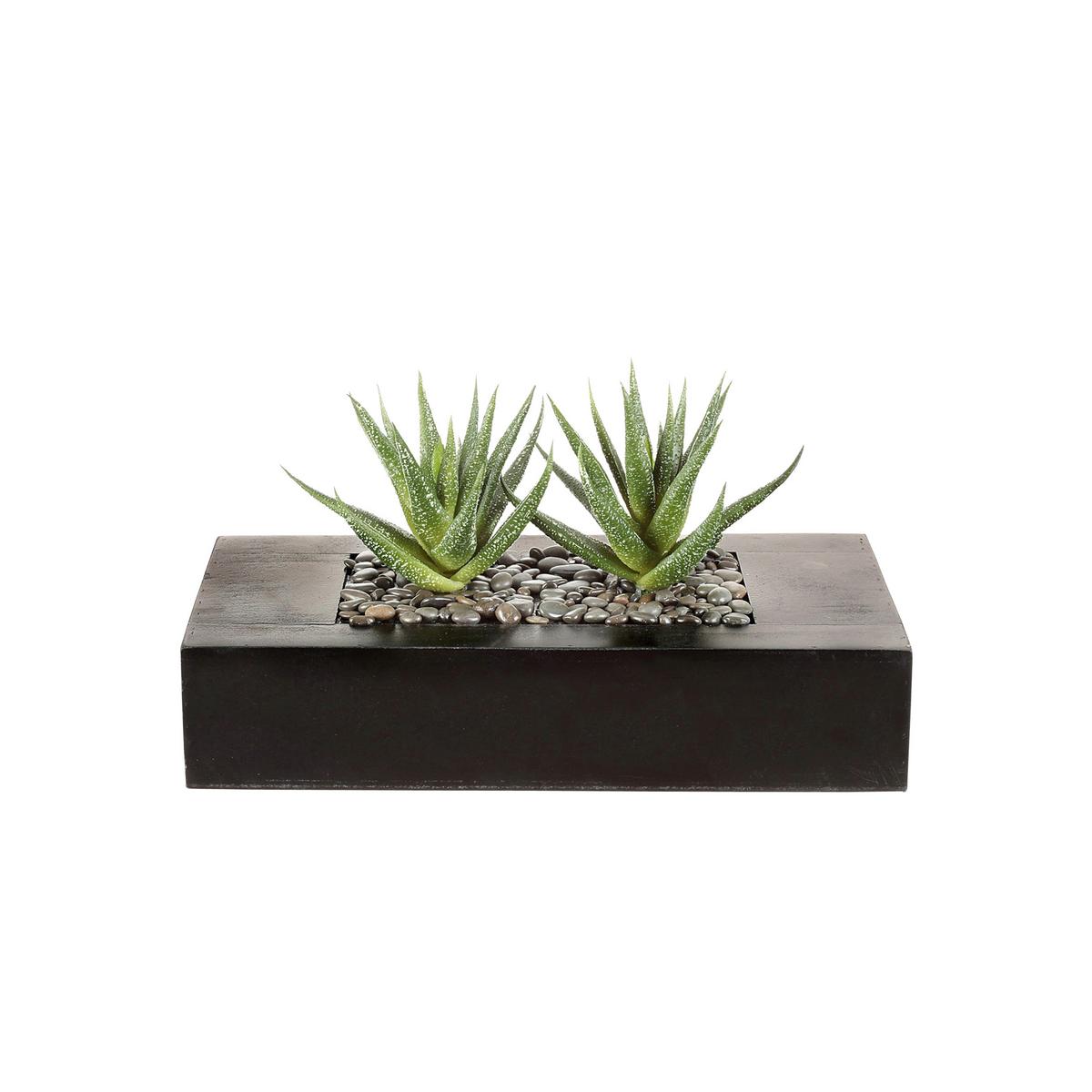 Kunstpflanze Agave, Grün Braun, Inkl. Topf, H: 14 Cm - Braun/Grün, Design, Holz/Kunststoff (14cm) - P & B