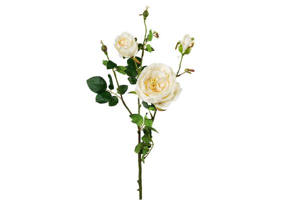 Rose Elke Creme - Creme/Grün, Natur, Kunststoff (63cm) Rose Elke Creme - Creme/Grün, Natur, Kunststoff (63cm)