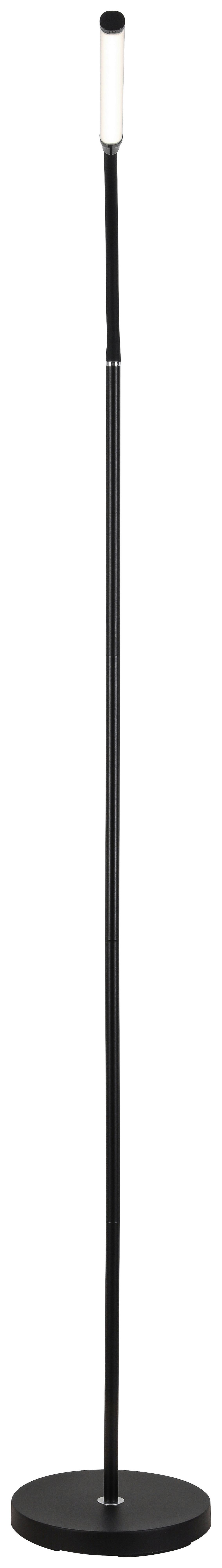 Stehleuchte David Dimmbar Schwarz - Schwarz, Design, Kunststoff/Metall (22/155cm) - Luca Bessoni