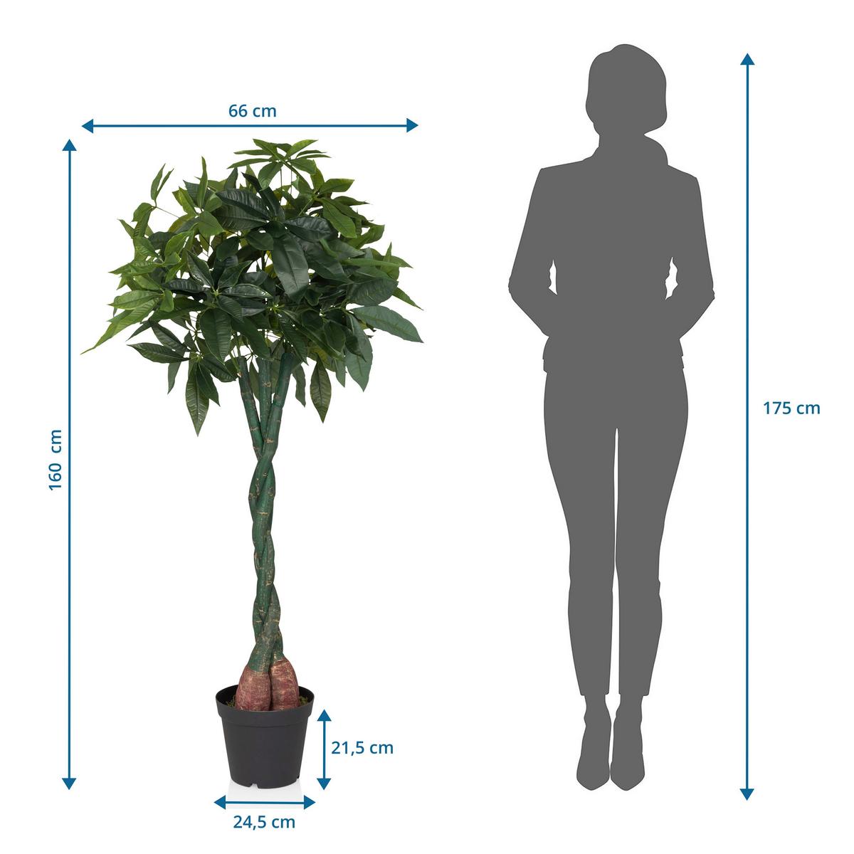 Kunstpflanze Schwarz/grün  B: 66 Cm - Schwarz/Grün, MODERN, Kunststoff (66/160/77cm) - MID.YOU