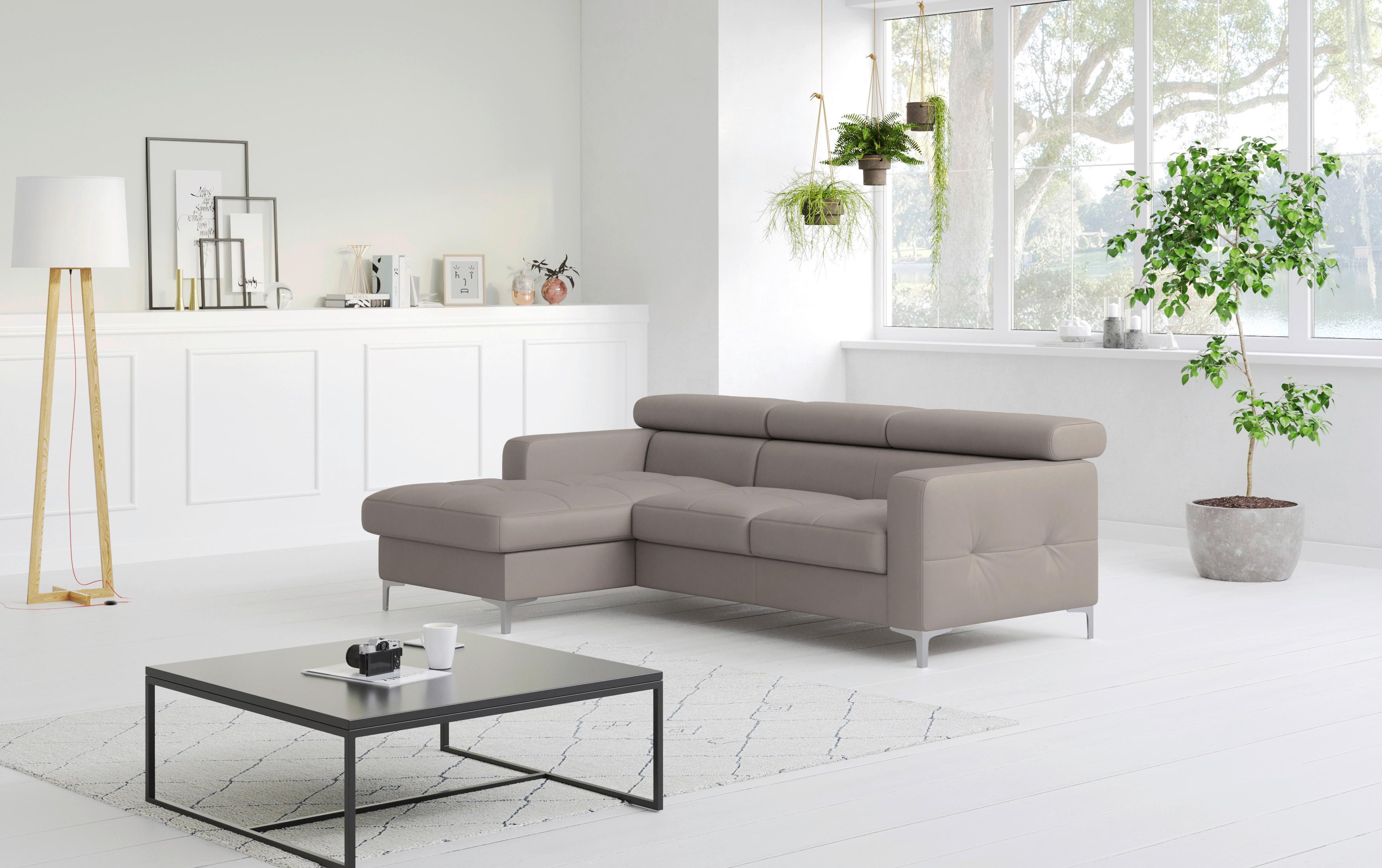 Ecksofa Mit Schlaffunktion Sammy Grau Leder - Chromfarben/Grau, Design, Leder (168/227cm) - Livetastic