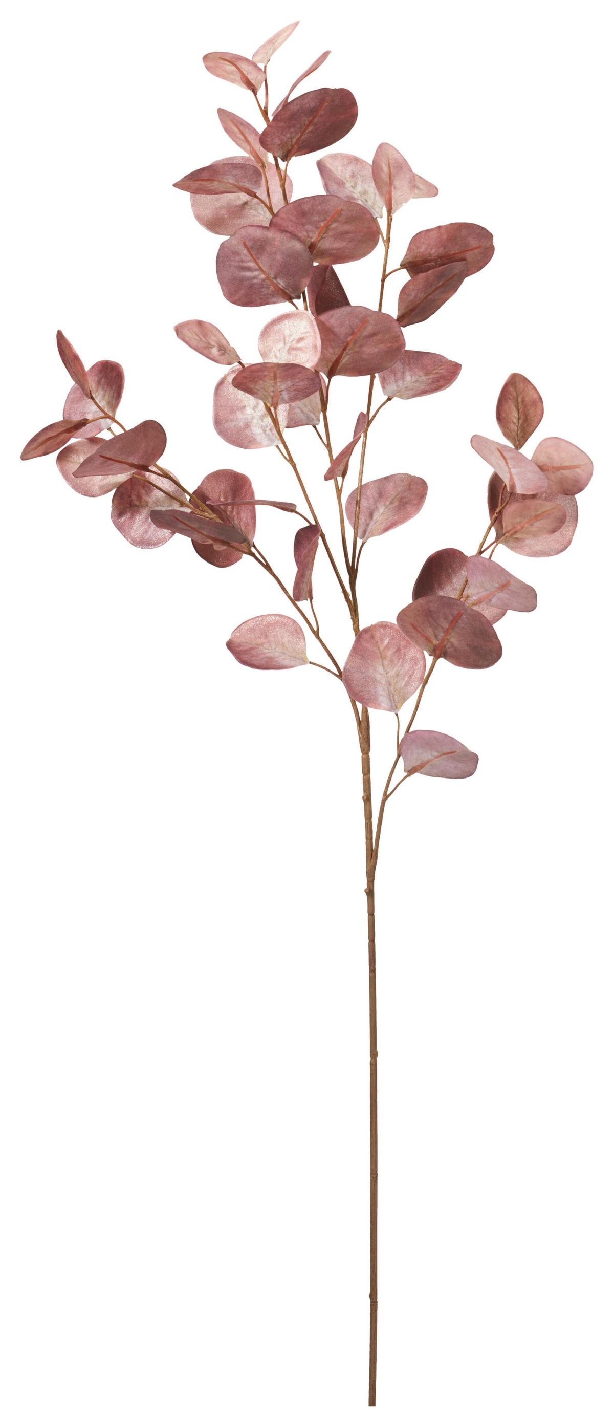 Umelá rastlina NORA - lila/svetlohnedá, Konventionell, plast (25/23/95cm) - Mömax