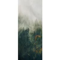 Vliestapete Tales Of The Carpathians Panel - Grün, Basics (100/250cm) - Komar