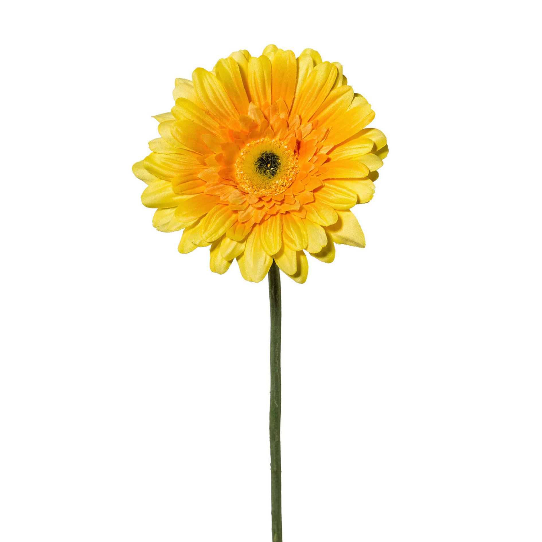 Kunstblume Gerbera L: ca. 63cm, Amra - Gelb/Grün, Natur, Kunststoff (63cm)