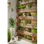 Rostlina Umělá Agave I - zelená, Konvenční, umělá hmota (38 cmcm) - Mömax modern living Rostlina Umělá Agave I - zelená, Konvenční, umělá hmota (38 cmcm) - Mömax modern living
