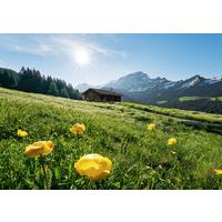 Fototapete Alpenglück - Multicolor, Trend, Textil (400/280cm)