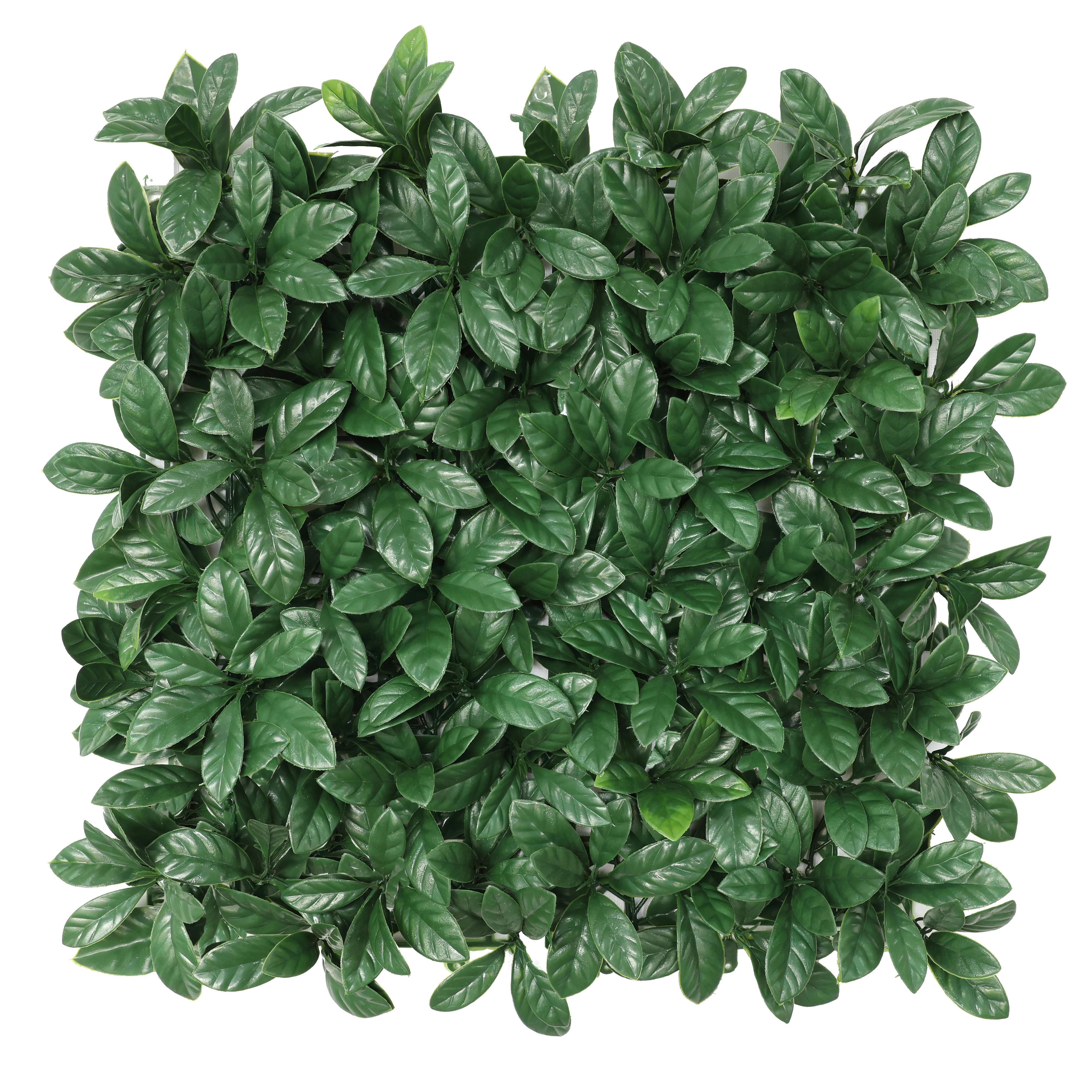 Kunstpflanze Runa - Dunkelgrün, MODERN, Kunststoff (50/50cm) - Luca Bessoni