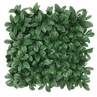 Kunstpflanze Runa - Dunkelgrün, MODERN, Kunststoff (50/50cm) - Luca Bessoni