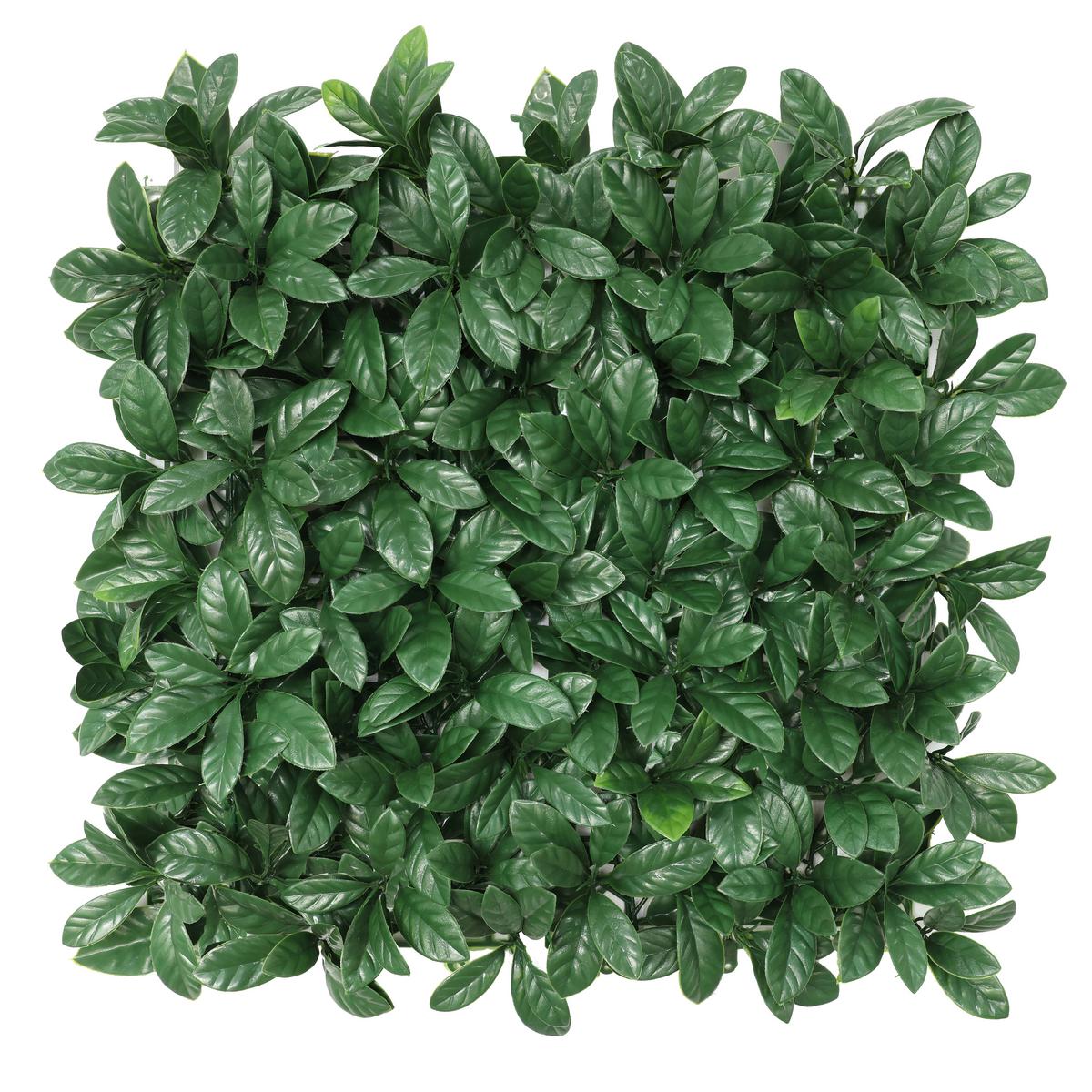 Kunstpflanze Runa - Dunkelgrün, MODERN, Kunststoff (50/50cm) - Luca Bessoni