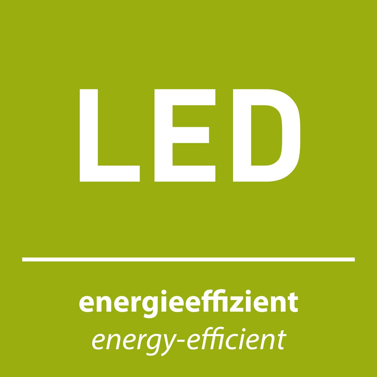 LED-Deckenleuchte Johanna L: 66 cm, 3 Helligkeitsstufen - Silberfarben, Design, Metall (66/55/8,5cm)