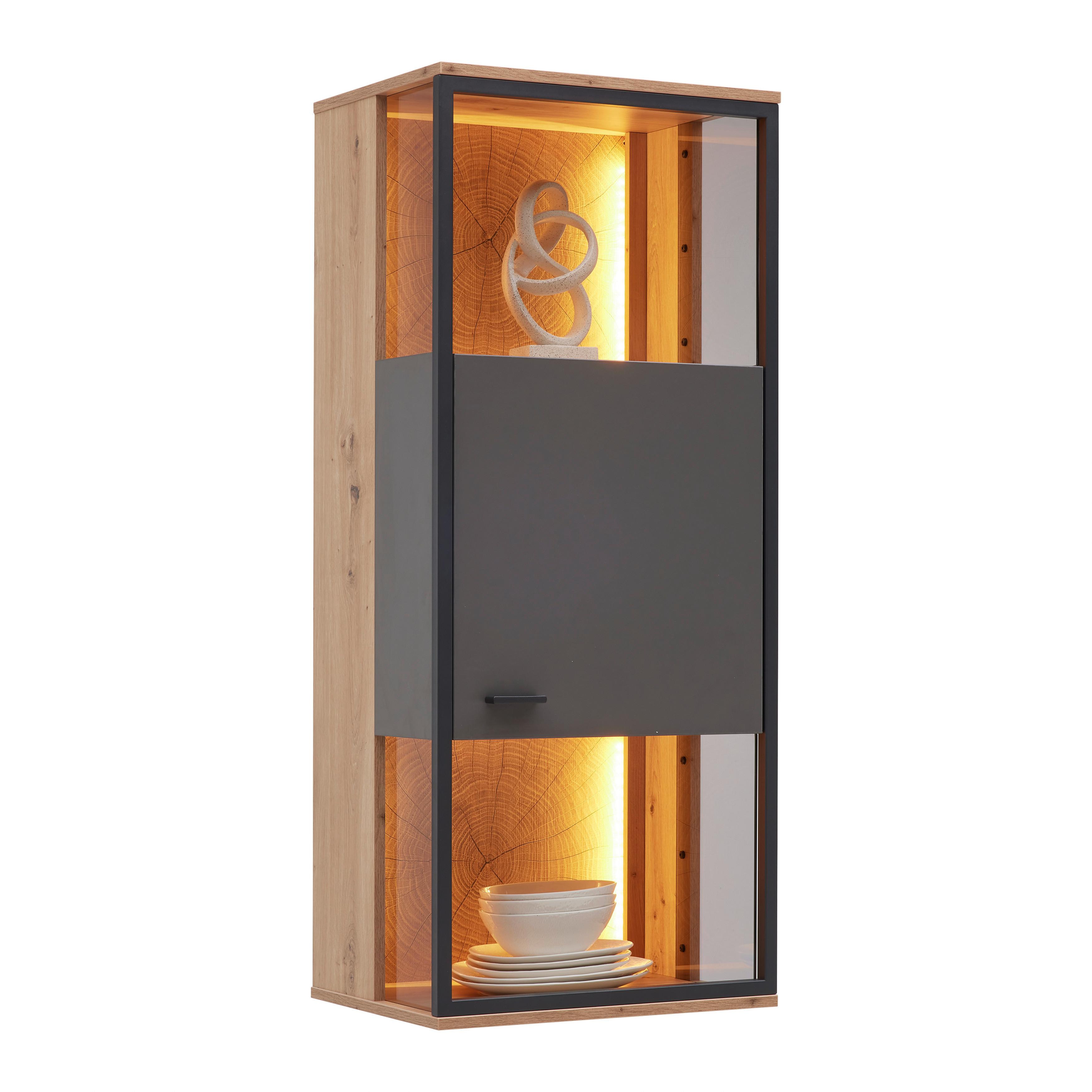 ZÁVĚSNÁ VITRÍNA FLORENZ - šedá/černá, Moderní, kov/kompozitní dřevo (50/119,9/38cm) - Premium Living