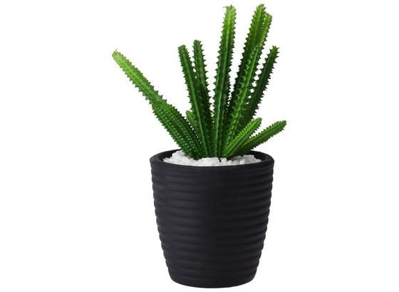 Umelá Rastlina Kaktus - čierna/zelená, plast (10/24,5cm) - Mömax modern living Umelá Rastlina Kaktus - čierna/zelená, plast (10/24,5cm) - Mömax modern living
