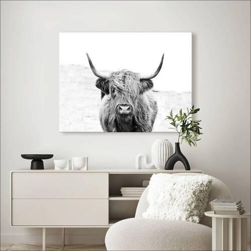 Leinwandbild Scottish Highland Cattle Ii Grau 116x84 Cm - Grau, Basics, Papier/Holzwerkstoff (116/84/2,4cm)