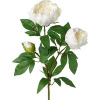 Umělá rostlina Pivoňka, V: 70cm - bílá/zelená, Basics, plast (70cm) - Modern Living