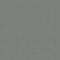 Vliestapete 5673490 - Grau, Basics, Papier/Kunststoff (52/1000cm)