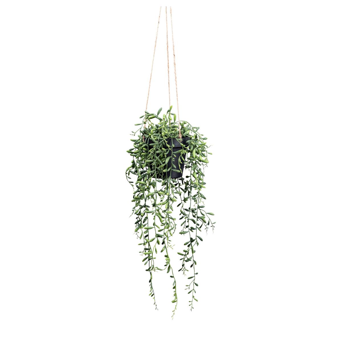 UMELÁ RASTLINA SENECIO HERREIANUS I - zelená, Lifestyle, plast (55cm) - Modern Living