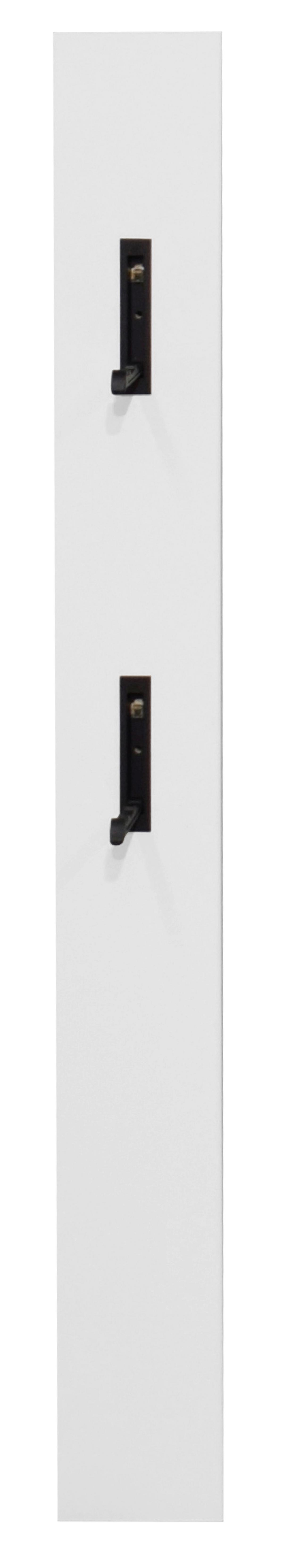 Vešiakový panel LUDWIG - biela, Modern, kompozitné drevo (13/110/3cm) - Mömax