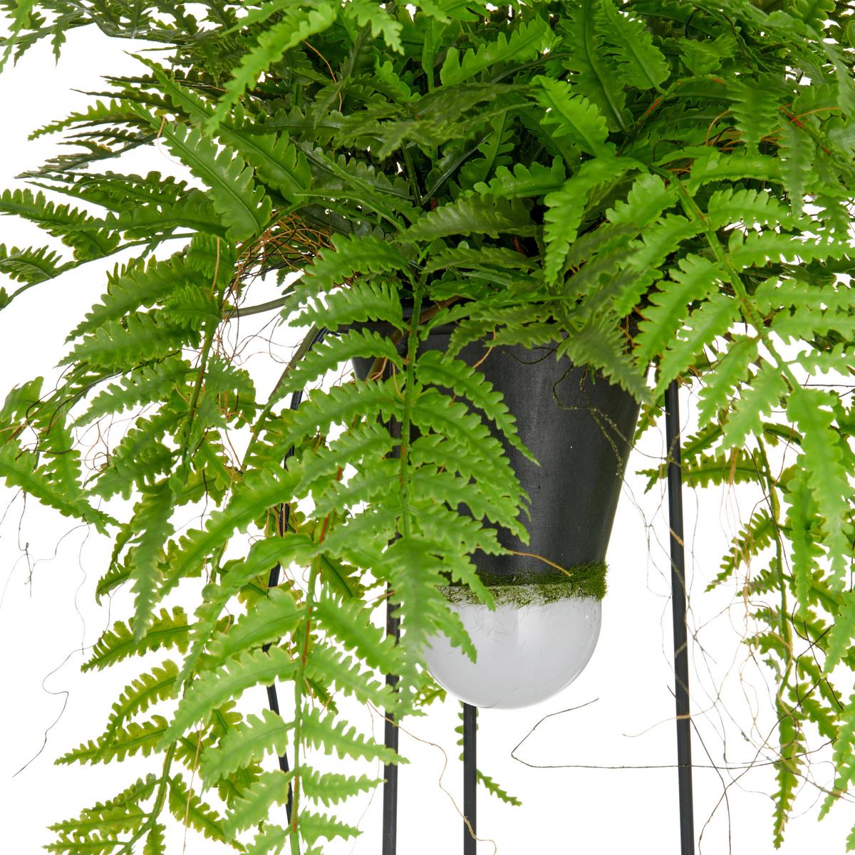 Kunstpflanze Farnmix, H: 60 cm Kunststoff, Grün/Schwarz, - Schwarz/Grün, Basics, Kunststoff/Metall (60cm) - P & B