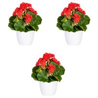 Kunstpflanze Blühpflanzen Rot/Grün/Weiß, 24 cm - Rot/Weiß, Design, Keramik/Kunststoff (24cm) - P & B