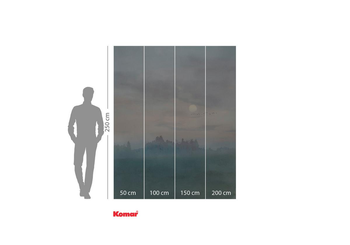 Vliestapete Hazy Hush - Multicolor, Basics (200/250cm) - Komar