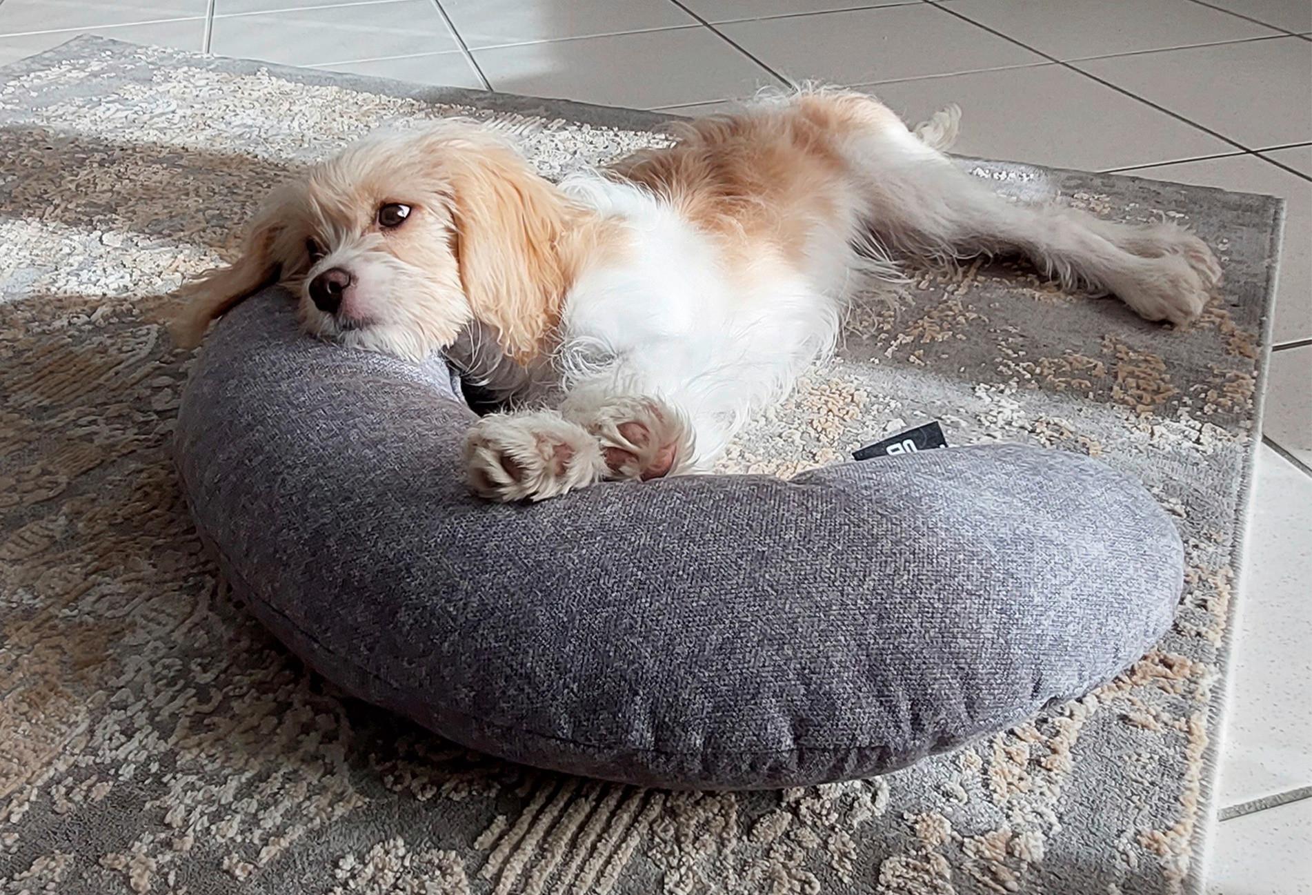Hundekissen Loki Grau L: 42 cm - Grau, Textil (42/57/6cm)