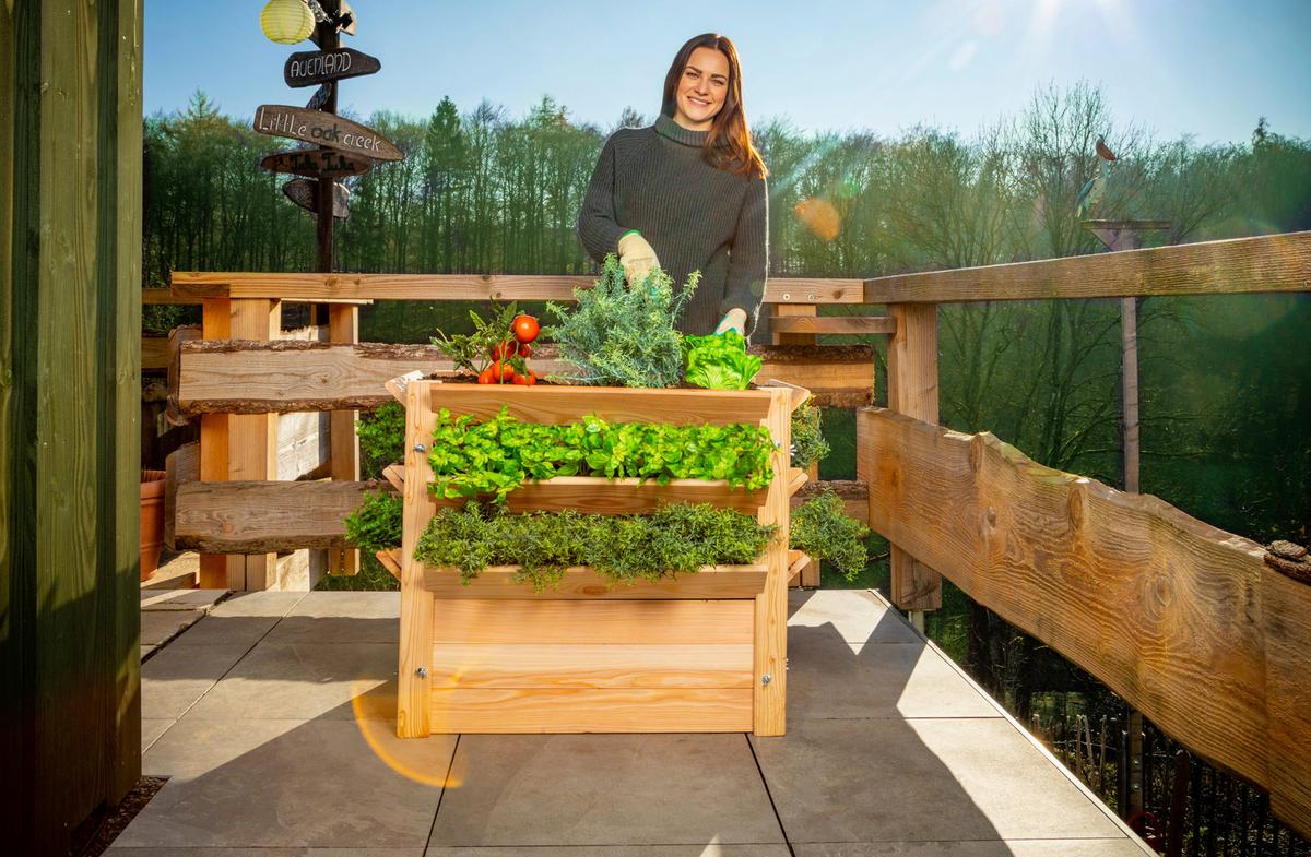 Hochbeet Echtholz Lärche 90x73x65 cm Lärchefarben - Lärchefarben, Basics, Holz (90/73/65cm)