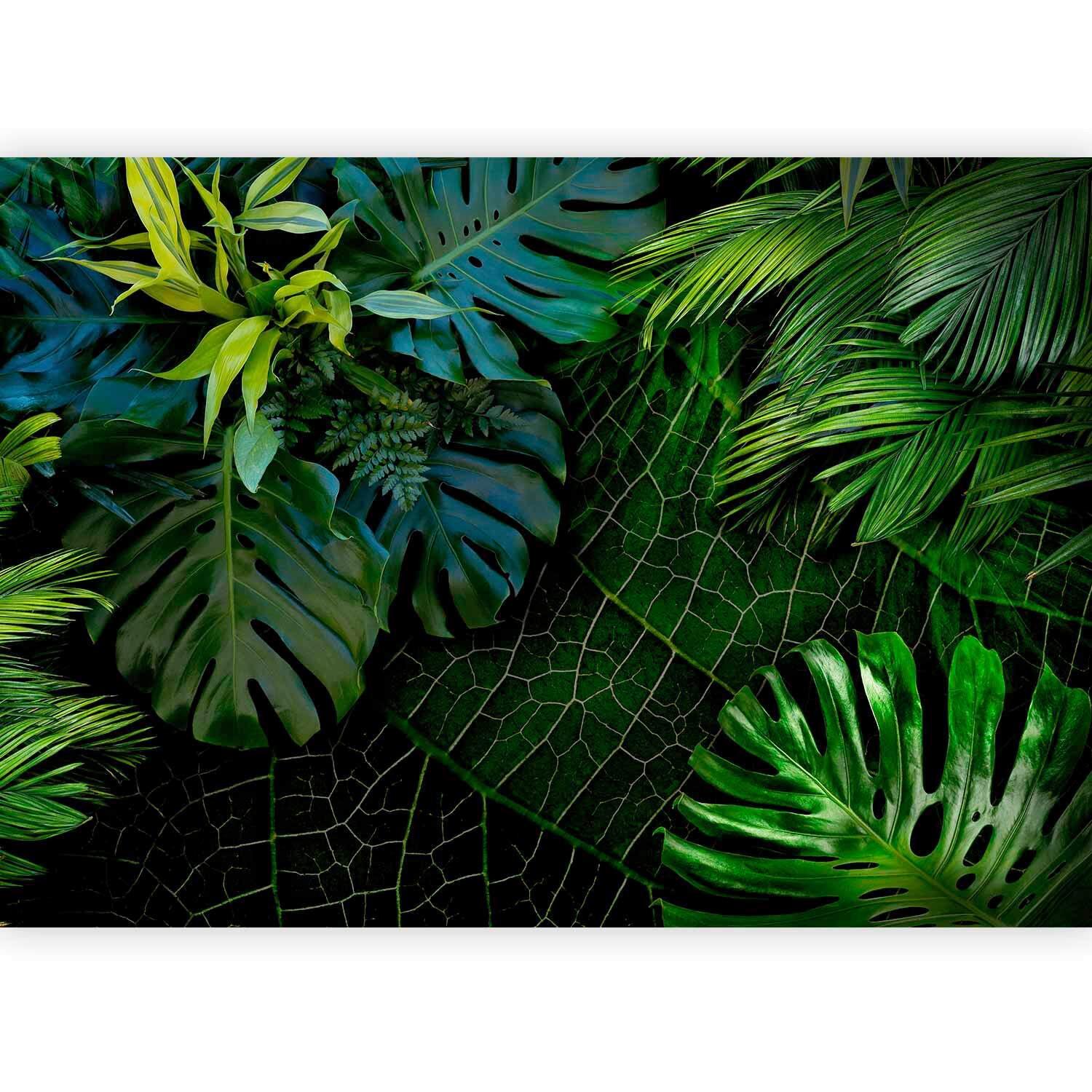 Fototapete Grün Dunkelgrün B: 300 cm - Dunkelgrün/Grün, Basics, Textil (300/210cm) - artgeist