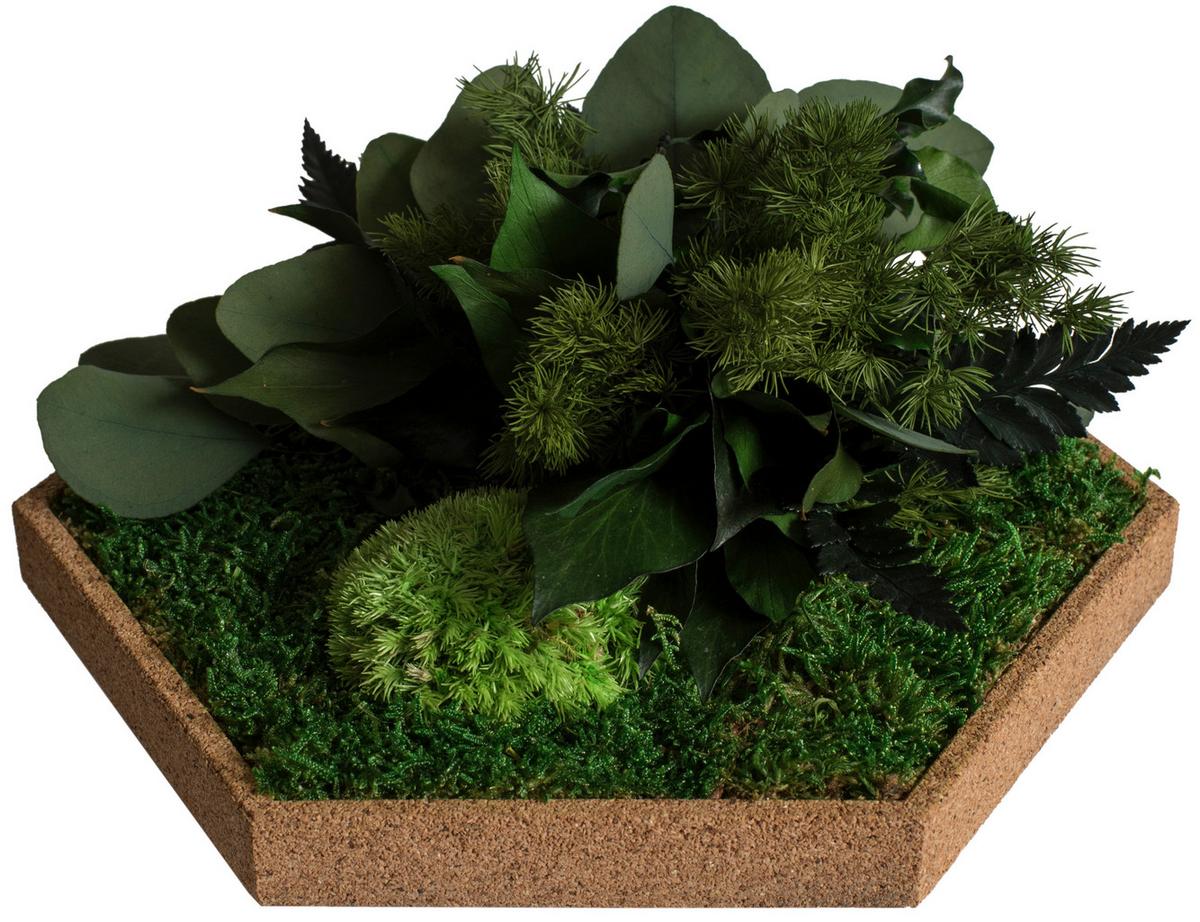 Moospaneel Grün Hellbraun B: 19 cm - Hellbraun/Grün, Basics, Naturmaterialien/Holz (19/22cm)