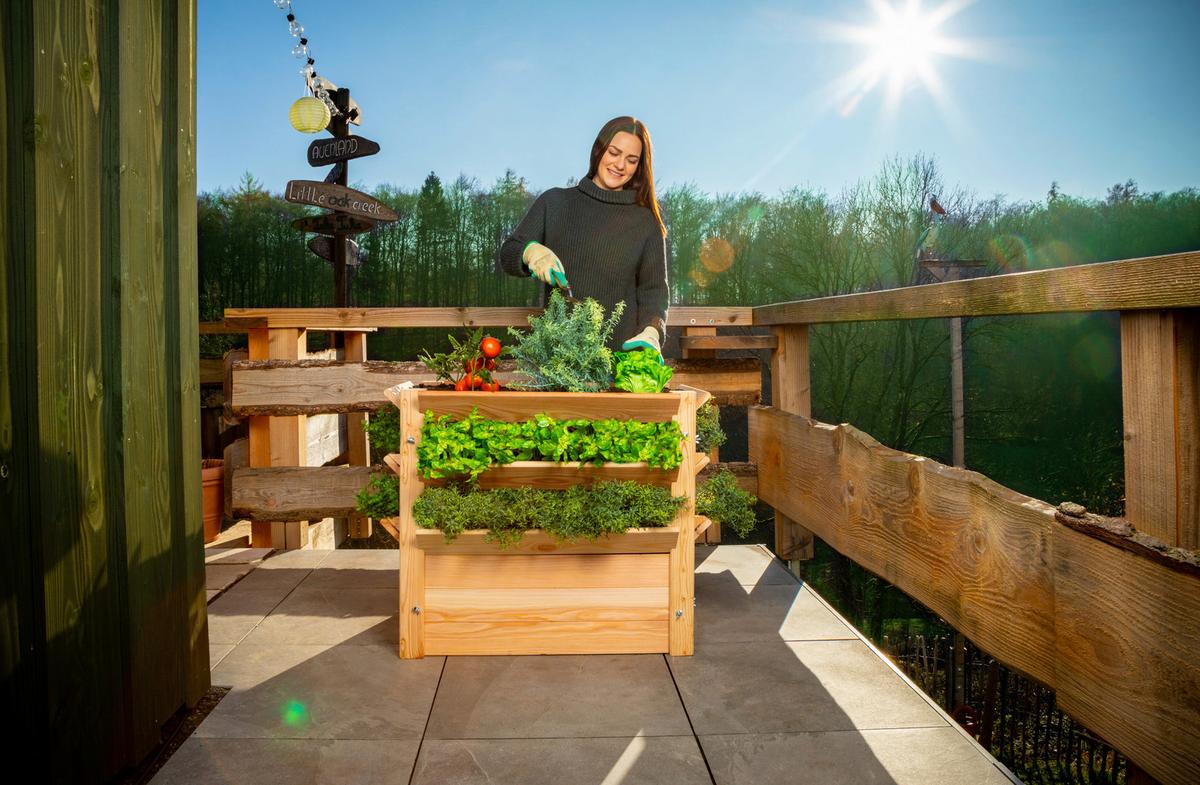 Hochbeet Echtholz Lärche 90x73x65 cm Lärchefarben - Lärchefarben, Basics, Holz (90/73/65cm)