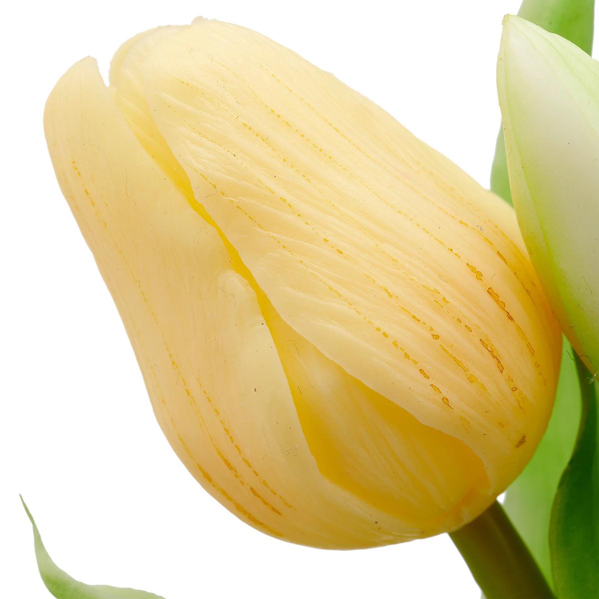 Tulipán TULPENBUND I - žltá/biela, Konventionell, kov/plast (31cm) - Mömax