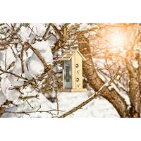 Vogelfuttersilo Country Bxhxt: 19x38x17,5 Cm - Naturfarben, Basics, Holz (19/38/17,5cm) - Windhager