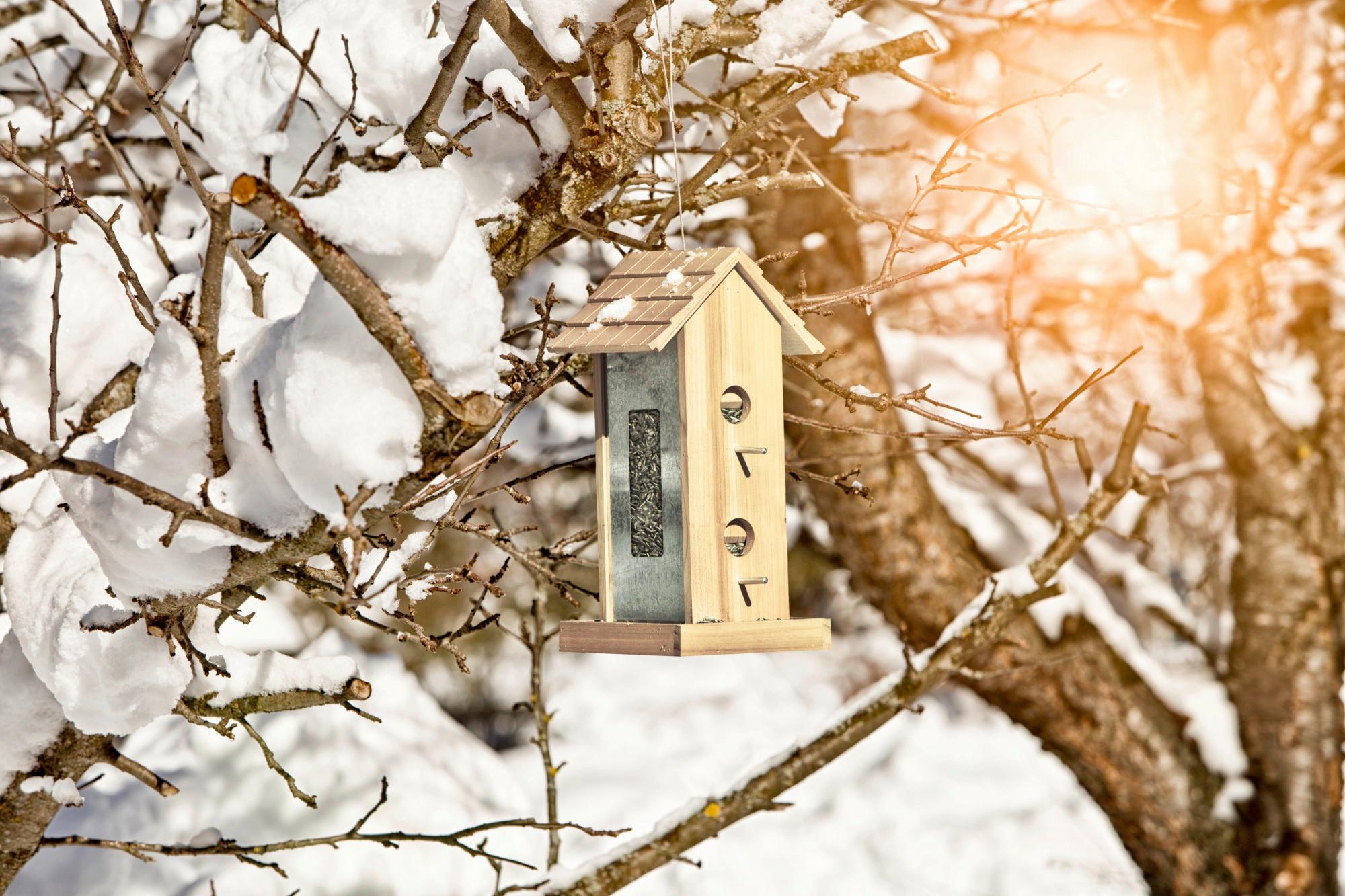 Vogelfuttersilo Country Bxhxt: 19x38x17,5 Cm