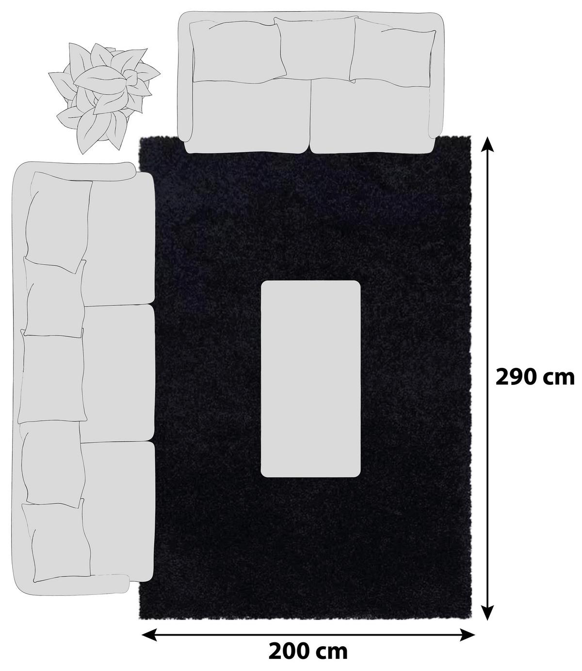 Hochflor Teppich Schwarz Naturfaser Sydney 200x290 cm - Schwarz, Basics, Textil (200/290cm)