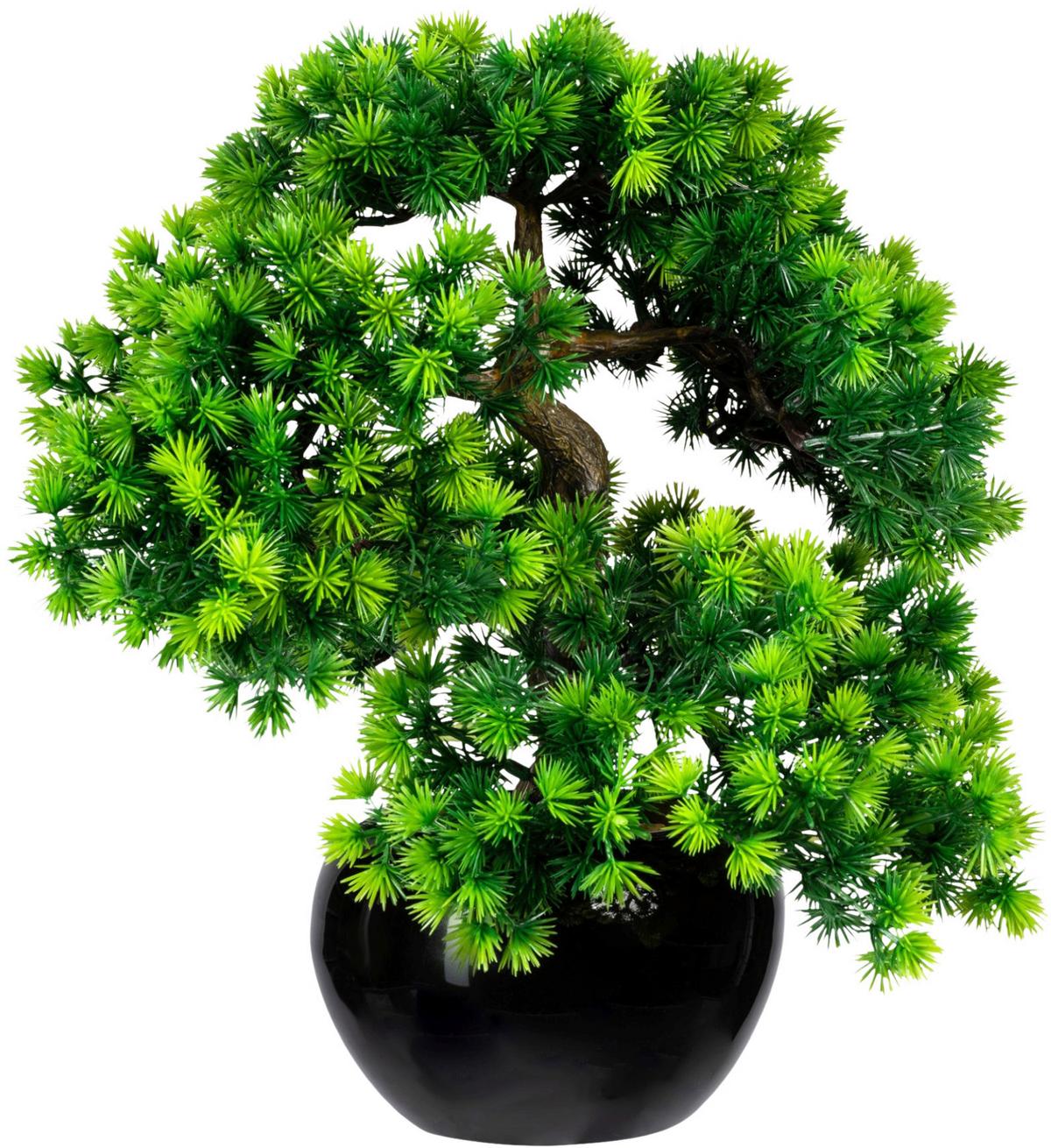 Kunstpflanze Bonsai Inkl. Topf D: 9 Cm - Schwarz/Braun, Design, Keramik/Kunststoff (37cm) - P & B