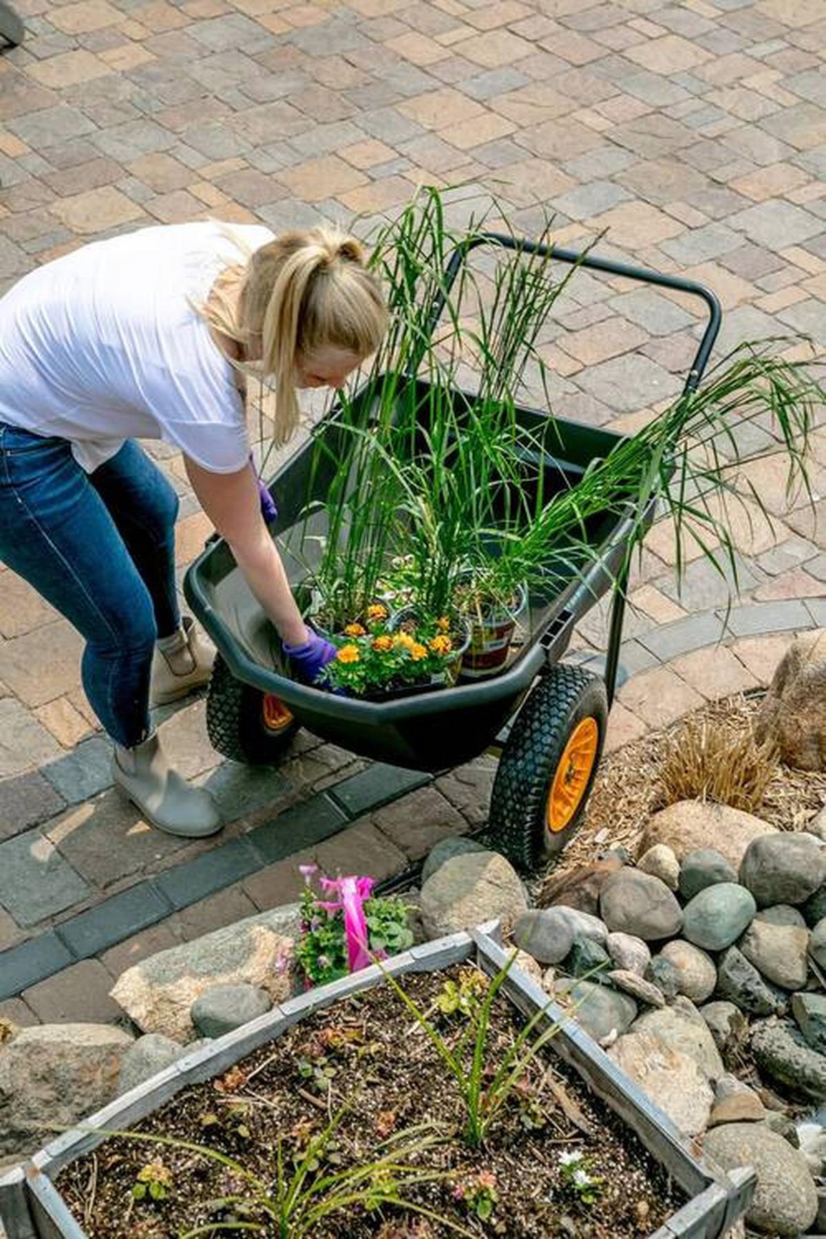Gartenkarre Schubkarre Cub Cart - Schwarz, Basics, Kunststoff (71/74/127cm)