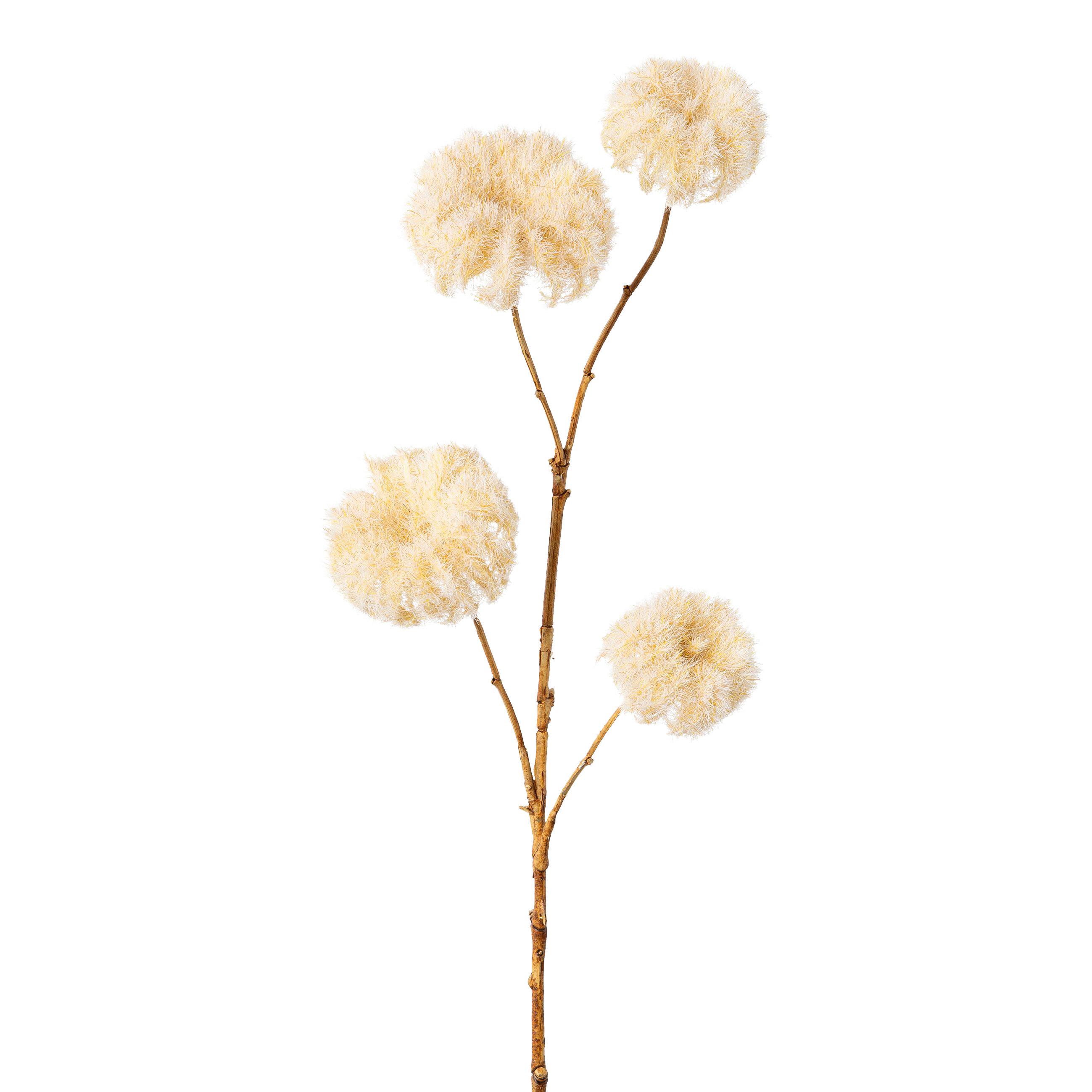 DEKORAČNÍ VĚTVIČKA CLEMATISZWEIG I -PAZ- - krémová, Konvenční, plast (68cm) - Modern Living