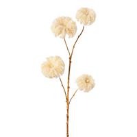 DEKORAČNÍ VĚTVIČKA CLEMATISZWEIG I -PAZ- - krémová, Konvenční, plast (68cm) - Modern Living