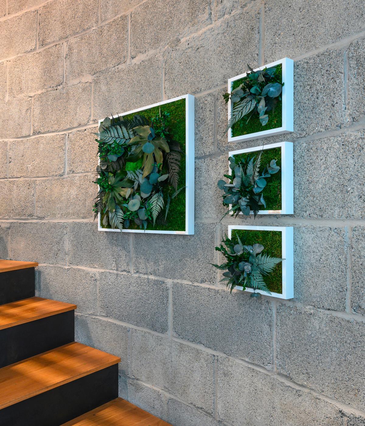 Moosbild Moos Grün B: 57 cm - Weiß/Grün, Basics, Naturmaterialien/Holz (57/27/15-17cm)